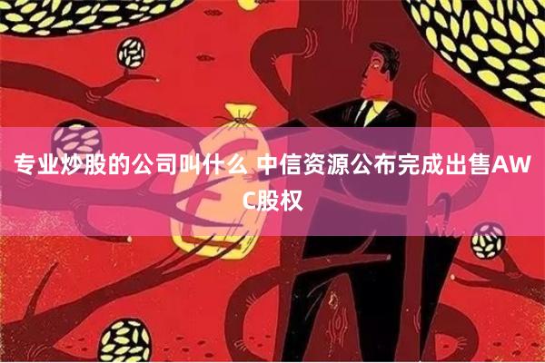 专业炒股的公司叫什么 中信资源公布完成出售AWC股权