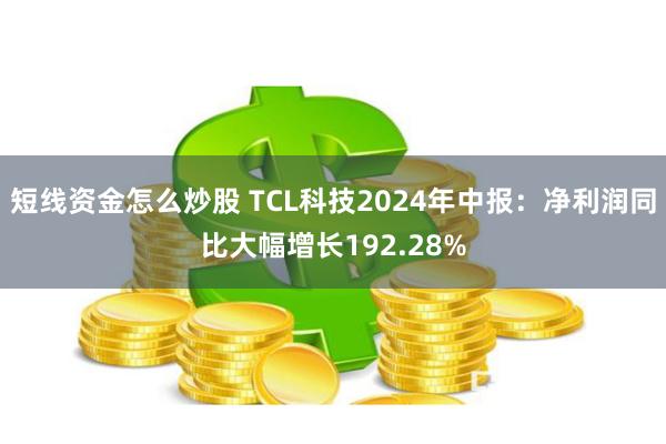 短线资金怎么炒股 TCL科技2024年中报：净利润同比大幅增长192.28%