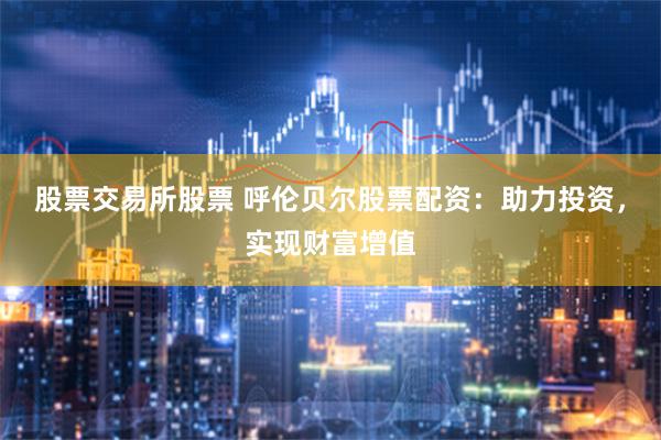 股票交易所股票 呼伦贝尔股票配资：助力投资，实现财富增值